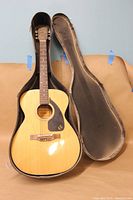 Front view of Aria acoustic guitar inside open hard case showing light natural wood top and black pickguard.