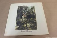 Front cover of the Van Morrison Tupelo Honey LP album showing Van Morrison with horse in wooded path.