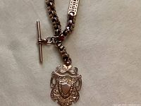 Close-up of coat of arms fob pendant and chain T-bar