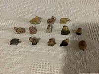 Photo showing all 13 Wade ceramic animal figurines arranged on a patterned white surface including dog, tortoise, squirrel and other animals.