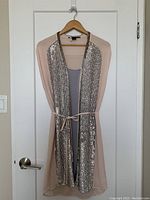 Front view of pink and purple French Connection dress with silver sequins and beaded trim, hanging on wooden hanger on white door. Thin belt cinched.