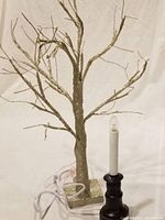 24 inch tall leafless branch champagne color tree pre-lit with LED lights on a square base with battery operated power