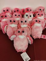 12 Douglas Pinky Owl plush toys arranged in rows, showing front view and sealed tags