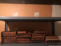 Metal shelf with 15 small brown leather-bound registers stacked in three rows