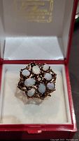 Front view of ring in red presentation box showing cluster design