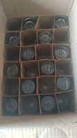 Top-down view inside original cardboard box showing 24 individual compartments each holding one clear glass, confirming total count and condition as unused with no visible defects.