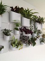 Installed modular wall planter system in living space showing white panels and assorted pots attached.