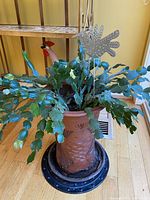 Overall view of a Christmas cactus in a terracotta art pottery ceramic vase decorated with fish and bird designs, set on a black saucer, indoors on a wood floor.