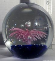 Clear glass paperweight showing pink floral design and deep blue base with air bubbles inside. Measurement scale shows about 3 inches height.