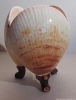 Side view of the pottery sea shell planter showing the glazed surface with surface crazing and brownish markings.