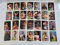 Full laid out view showing 28 wrestling cards with various wrestler portraits and action shots.