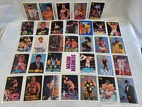 Photo of the full lot of approximately 30 vintage WWF wrestling cards spread out showing various wrestlers and logos.