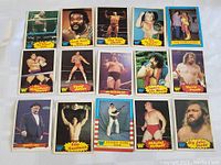 Overview of 15 vintage WWF wrestling cards laid out in rows showing wrestlers and personalities with colorful borders.