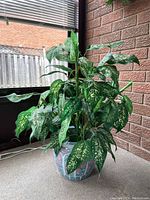 Full height view of the faux plant showing the variegated green and yellow leaves and decorative ceramic pot on carpet near window and brick wall.