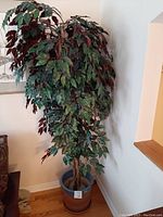 Full view of fake silk tree with green and burgundy leaves in pottery base with blue glazed rim.