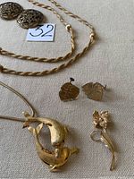 Photo showing gold-tone twisted rope necklace, pair of oval filigree clip-on earrings, two small house-shaped earrings, and two brooches: one floral, one dolphin pendant necklace.