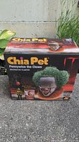 Photo of box front showing Pennywise the Clown Chia Pet planter with chia hair sprouts and branding.