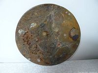 Front view of round fossil plate showing embedded ammonite fossils and natural stone patterns.