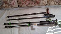 Photo showing four items laid out horizontally: two wooden walking sticks, one wooden cane, and a pair of black adjustable trekking poles with green accents.
