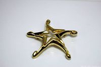 Gold-tone metal star brooch photographed against a white background showing front view and shape details.