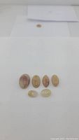 Six oval-shaped rutilated quartz gemstones laid out in two rows on a white background, showing different shades of golden and reddish rutile inclusions.