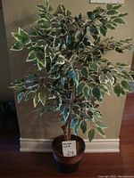 Full view of the 4 ft tall faux floor plant with variegated green and white leaves in a basket pot.