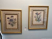 Two floral encyclopedia prints framed in gold frames side by side on a wall. Both prints are 13x10.5 inches with a patterned mat and glass.