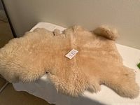 Top side of natural cream sheepskin showing thick wool fleece, spread on table.