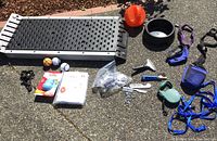 All items in lot laid out on outdoor surface showing assortment of dog toys, ramp, grooming tools, bowls, and leashes.
