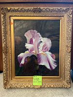 Frontal view of oil painting depicting a pink and white iris flower set against a dark background, in an ornate gold frame. Yellow sticker shows measurements.