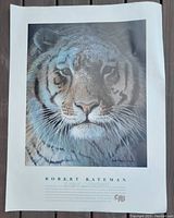 Front view of the printed poster showing Robert Bateman's Tiger Portrait artwork, including visible signature and text below the image.