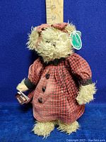 Full body image of the Lolly Teddy Bear standing against a blue background with a measuring scale behind showing height about 13 inches. Bear is wearing a red checkered dress and matching hat, with tags attached.