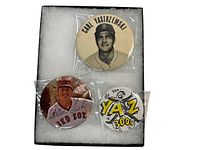 Top view showing front designs of three vintage baseball pins in plastic sleeves on white foam