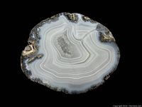 Layered white crystal geode on black background showing detailed banding and crystalline center.
