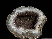 Smokey topaz geode with dark brownish crystal center and white to gray agate banding at edges photographed against black background.