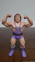 Front view of LJN Ken Patera wrestling action figure with flexed arms and purple singlet.