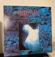 Front cover of the Skinny Puppy vinyl record album showing a blue textured background with a blurred white figure in the center and red text "SKINNY PUPPY"