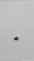 Pear-shaped cabochon cut almandine garnet gemstone on white background, showing color and surface details.