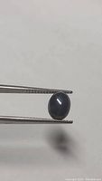 Blue star sapphire held by tweezers showing oval cabochon shape and star effect.