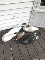 Photo showing four wood bird decoys placed on a deck: two white swans, one brown and white goose, and one Canada goose decoy.