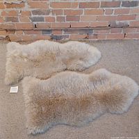 Pair of taupe sheepskin rugs laid on carpet with brick background, showing entire rugs and shape.