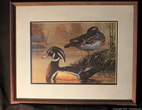 Framed print showing two wood ducks (woodies) near a beaver pond with natural vegetation background. The print is signed by the artist Robert Binks.