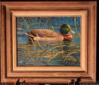 Photo of the painting showing a colorful mallard drake in water among reeds with a wooden frame