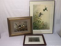 Three framed bird art prints displayed together showing sizes and framing