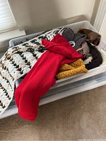 Clear top-down view of winter clothing items inside a plastic bin including scarves, red gloves, knit sweaters, and hats.