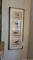 Full view of the set of 4 framed bird prints hung vertically on a wall showing the full gold and black framed piece containing all four bird illustrations.