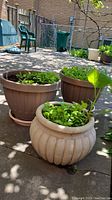 Three large resin planters placed outdoors, showing their size and plants growing inside.