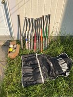 Full view of all 10 bats standing upright outside against a wall, the bat bag lying in front, and a box with balls.