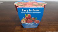 Front view of strawberry grow kit packaging showing 'Easy to Grow Anyone Can Grow Strawberries' text and images of strawberries.