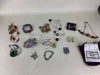Full view of assorted costume jewelry including necklaces, bracelets, rings, earrings, and pouches arranged on white surface